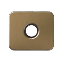 Simon 75057-36 Placa Altavoz/Llave