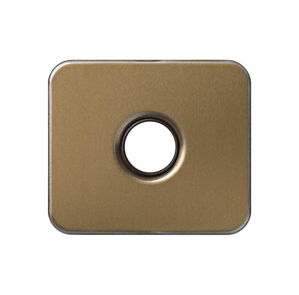 Simon 75057-36 Placa Altavoz/Llave